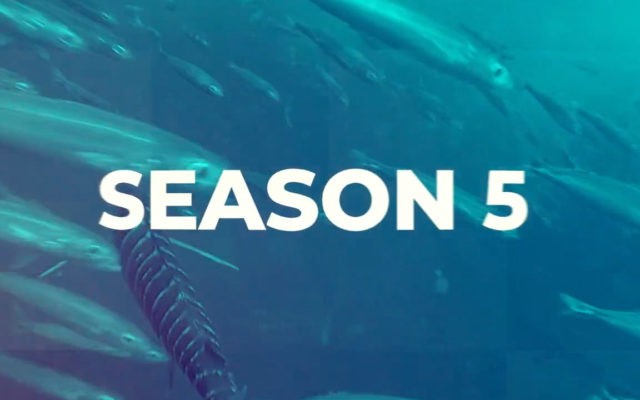Season 5 text in middle of screen over underwater image of fish
